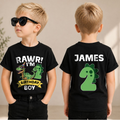 Boys Personalized Dinosaur Birthday Boy Shirt 2, Rawr I'm 2 — product view 1